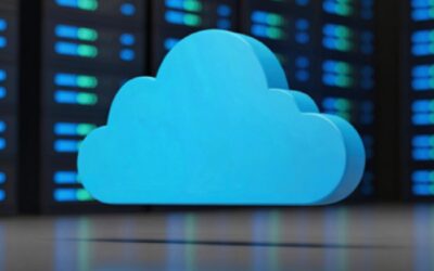 Web Servers For One Year